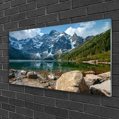 Quadro de vidro Montanhas Floresta Lago Tatra Montanhas