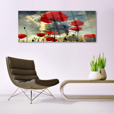 Pintura em vidro Papoulas Flores Natureza Planta
