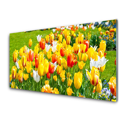 Quadro de vidro Tulipas Flores Natureza