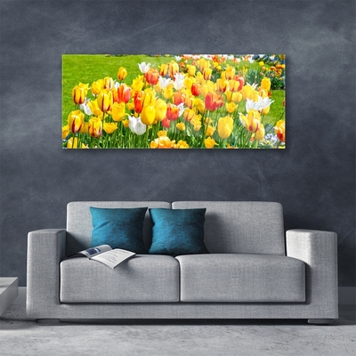 Quadro de vidro Tulipas Flores Natureza