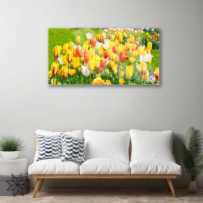 Quadro de vidro Tulipas Flores Natureza