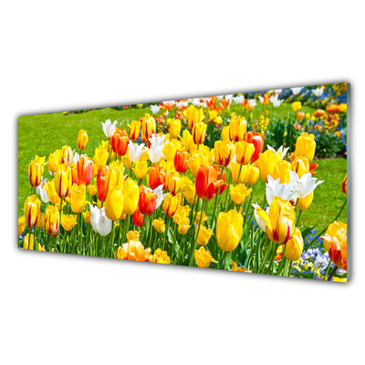 Quadro de vidro Tulipas Flores Natureza