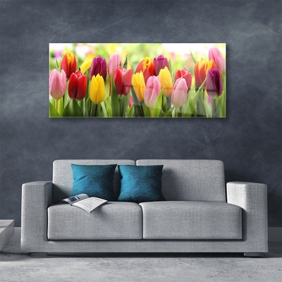 Quadro de vidro Tulipas Flores Natureza