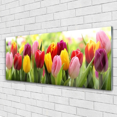 Quadro de vidro Tulipas Flores Natureza