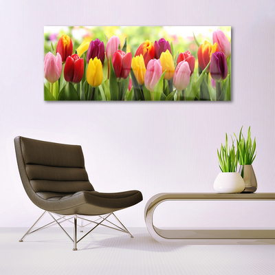 Quadro de vidro Tulipas Flores Natureza