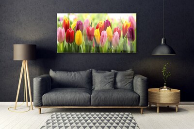 Quadro de vidro Tulipas Flores Natureza