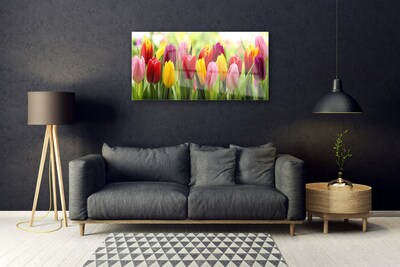 Quadro de vidro Tulipas Flores Natureza