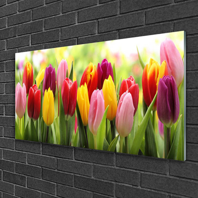 Quadro de vidro Tulipas Flores Natureza