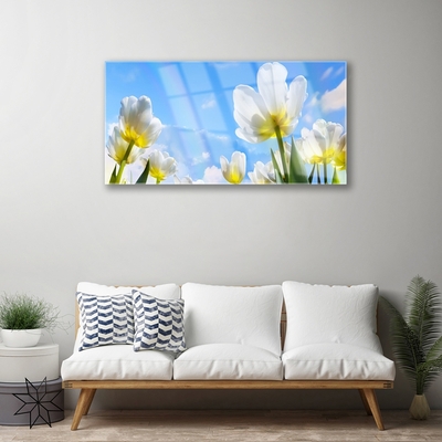Quadro de vidro Plantas Flores Tulipas