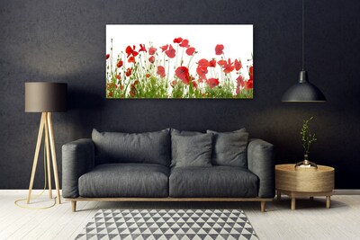 Pintura em vidro Papoulas Flores Natureza Planta