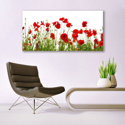 Pintura em vidro Papoulas Flores Natureza Planta