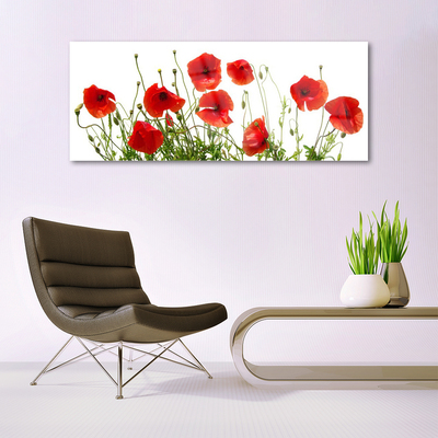 Quadro de vidro Papoulas Flores Natureza Planta