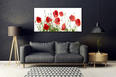 Quadro de vidro Papoulas Flores Natureza Planta