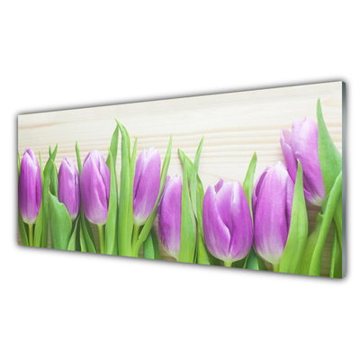 Quadro de vidro Tulipas Flores Natureza