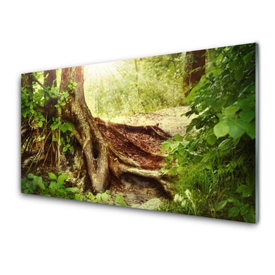 Quadro de vidro Tronco de árvore Natureza Floresta