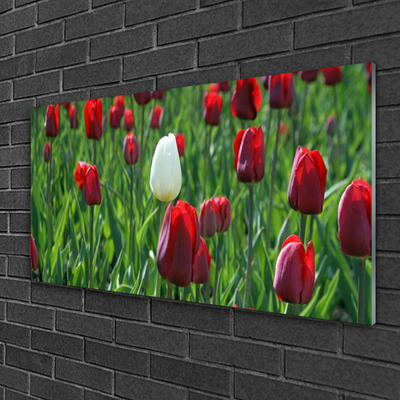 Pintura em vidro Tulipas Flores Natureza