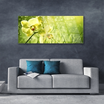 Quadro de vidro Grama Natureza Planta