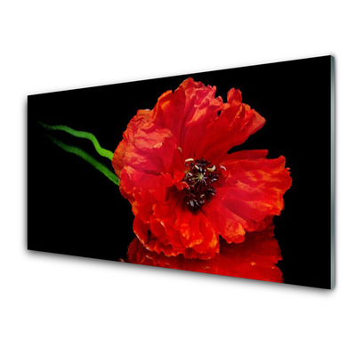 Quadro de vidro Flor Papoula Planta Natureza
