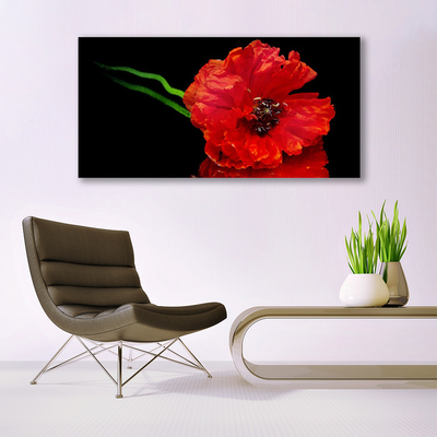 Quadro de vidro Flor Papoula Planta Natureza