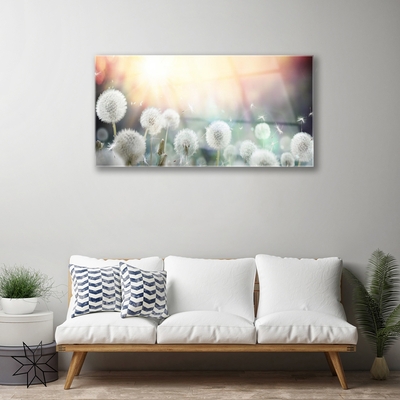 Pintura em vidro Flores de dente-de-leão Natureza