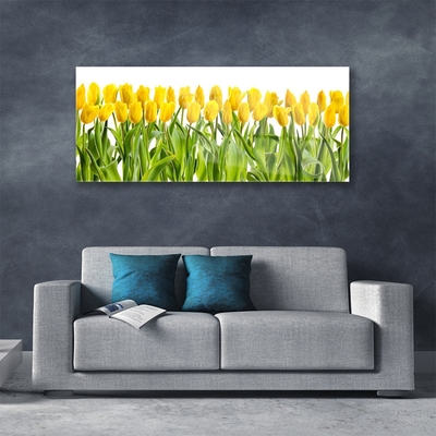 Quadro de vidro Tulipas Flores Natureza