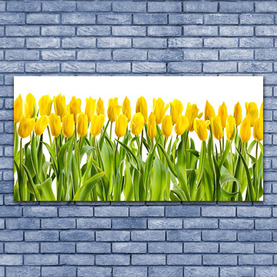 Quadro de vidro Tulipas Flores Natureza
