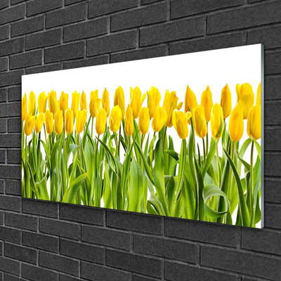 Quadro de vidro Tulipas Flores Natureza
