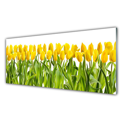 Quadro de vidro Tulipas Flores Natureza