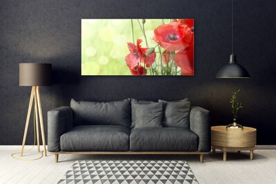 Quadro de vidro Papoulas Flores Natureza Planta