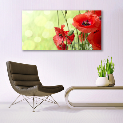 Quadro de vidro Papoulas Flores Natureza Planta