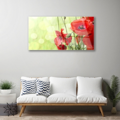Quadro de vidro Papoulas Flores Natureza Planta