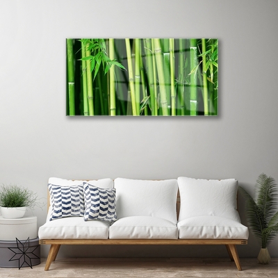 Pintura em vidro Floresta de Bambu Bambu Natureza