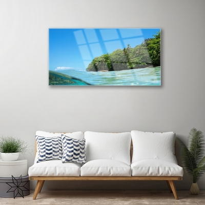 Quadro de vidro Paisagem de árvores marinhas