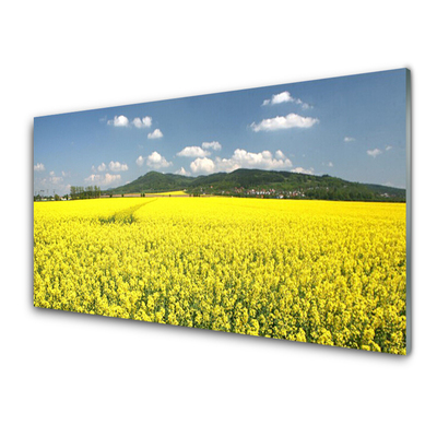 Quadro de vidro Campo Prado Natureza Colza