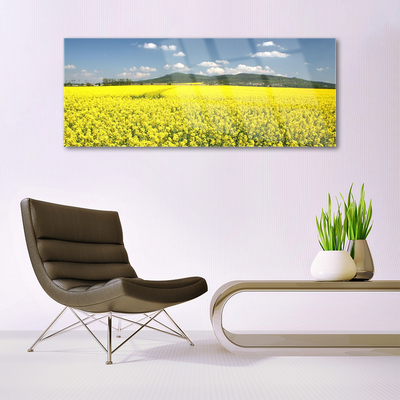 Quadro de vidro Campo Prado Natureza Colza