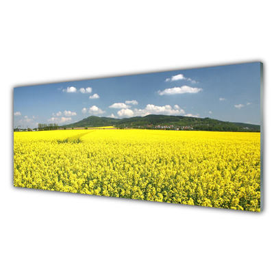 Quadro de vidro Campo Prado Natureza Colza