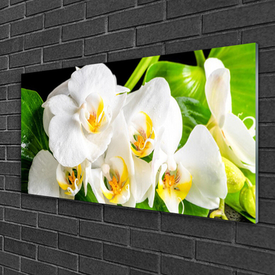 Pintura em vidro Flores de orquídeas Natureza