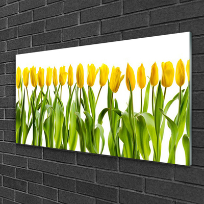 Pintura em vidro Tulipas Flores Natureza