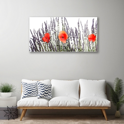 Quadro de vidro Flores Papoulas Campo Grama