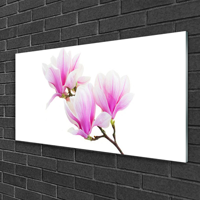 Quadro de vidro Flores Planta Natureza