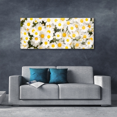 Quadro de vidro Margaridas Flores