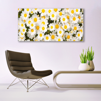 Quadro de vidro Margaridas Flores