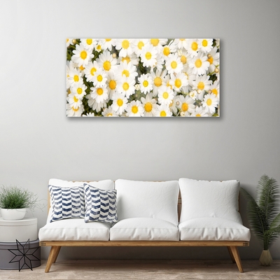 Quadro de vidro Margaridas Flores