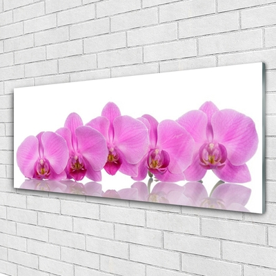Quadro de vidro Flores de orquídea rosa