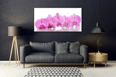 Quadro de vidro Flores de orquídea rosa
