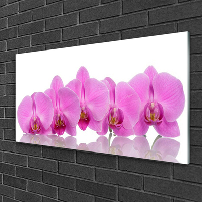 Quadro de vidro Flores de orquídea rosa