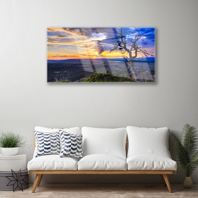 Quadro de vidro Árvore do Pôr do Sol