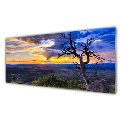 Quadro de vidro Árvore do Pôr do Sol