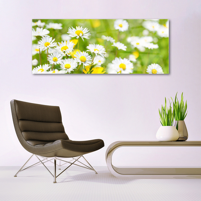 Quadro de vidro Planta de flor margarida