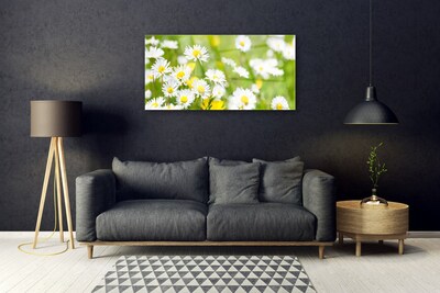 Quadro de vidro Planta de flor margarida